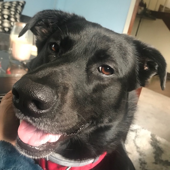 Meet your Posher, Courtney - Picture 1 of 1